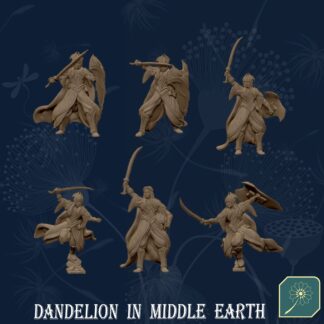 Dark Forest Elves Warriors with swords and shields (6 modeli)